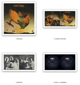 Rare Bird ‎- Rare Bird (1969) US 1st Pressing - LP/FLAC In 24bit/96kHz
