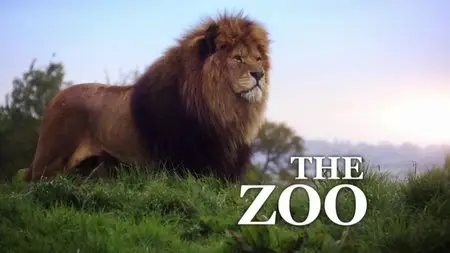 ITV - The Zoo: Series 4 (2014)
