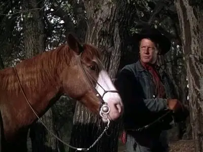 Saddle Tramp (1950)