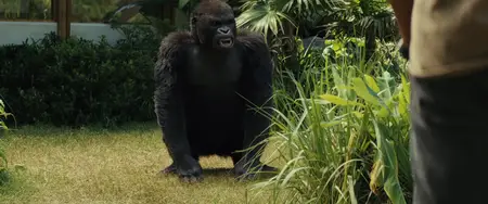 Rampage (2018)