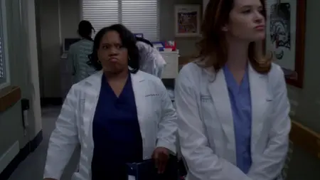 Grey's Anatomy S07E17