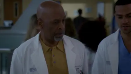Grey's Anatomy S07E17