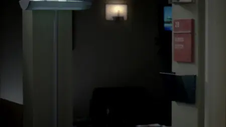 Grey's Anatomy S07E17