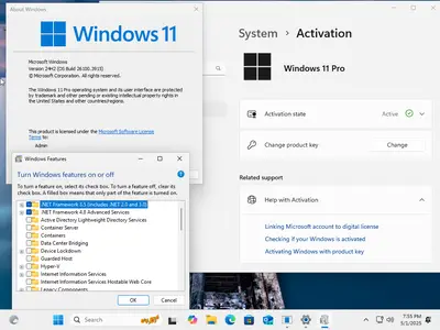 Windows 11 Pro 24H2 Build 26100.3915 (No TPM Required) Preactivated Multilingual