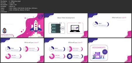 Blazor - The Complete Guide (Wasm & Server .Net Core 5)