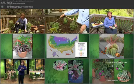 TTC Video - How to Grow Anything: Container Gardening Tips & Techniques
