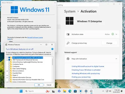 Windows 11 Enterprise 25H2 Build 26200.6725 (No TPM Required) Multilingual Preactivated