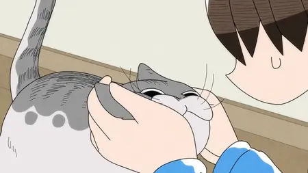 Nights With a Cat - S01E02 - Night 2 An Intensive Welcome Home