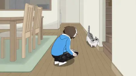 Nights With a Cat - S01E02 - Night 2 An Intensive Welcome Home