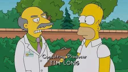 Die Simpsons S25E14