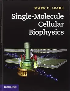 Single-Molecule Cellular Biophysics