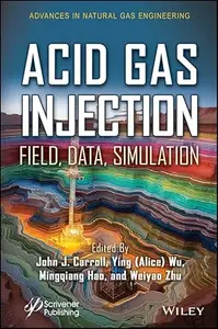 Acid Gas Injection: Field, Data, Simulation