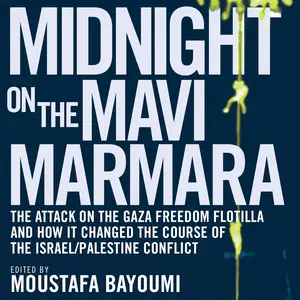 Midnight on the Mavi Marmara: The Attack on the Gaza Freedom Flotilla and How It Changed the Course