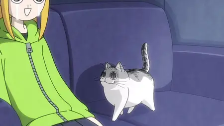 Nights With a Cat - S01E16 - Night 16 When Cats Come to You During Emotional Scenes