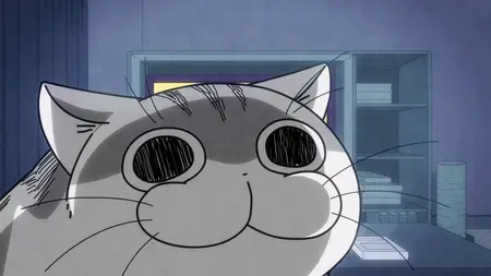 Nights With a Cat - S01E16 - Night 16 When Cats Come to You During Emotional Scenes