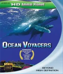 Ocean Voyager (2007)