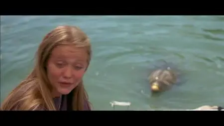 Flipper (1996)