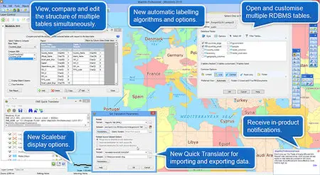 Pitney Bowes MapInfo Professional 12.5.0.33 (x86/x64)