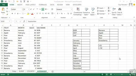 Advanced Microsoft Excel 2013 Training [repost]