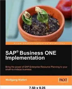 SAP Business ONE Implementation