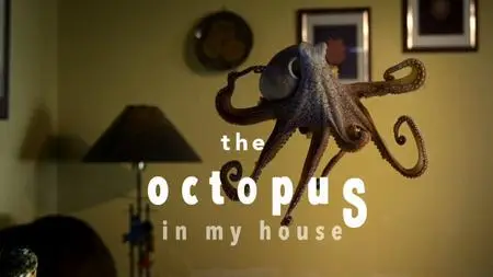 BBC - Natural World: The Octopus in My House (2019)