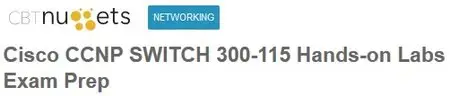 Cisco CCNP SWITCH 300-115 Hands-on Labs Exam Prep
