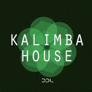 Deep Data Loops Kalimba House MULTiFORMAT