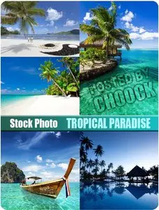 Tropical paradise - Stock Photo