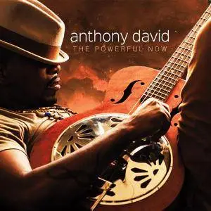 David Anthony - The Powerful Now (2016)