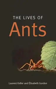 The Lives of Ants (repost)