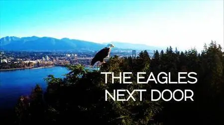 CBC - The Nature of Things: The Eagles Next Door (2016)