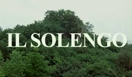 Il solengo (2015)