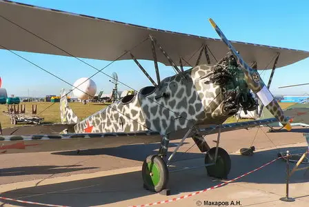 Polikarpov Po-2 Walk Around