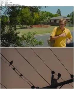 The Black Balloon (2008)