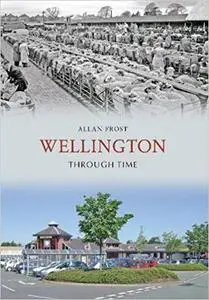Wellington Through Time