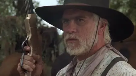 Lonesome Dove (1989)