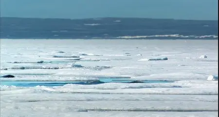The White Planet/La planète blanche (2006)