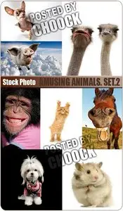 Amusing animals. Set.2 - Stock Photo