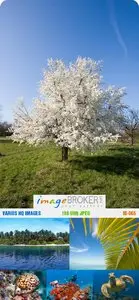 ImageBroker | IB-065 | Varios HQ Images