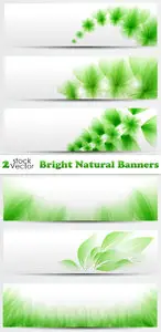 Vectors - Bright Natural Banners