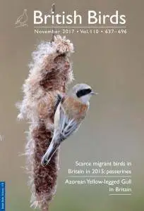 British Birds - November 2017