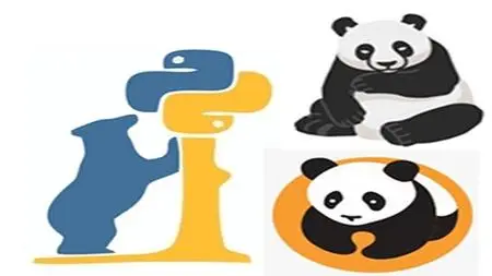 Python : Data Analysis with Pandas Library