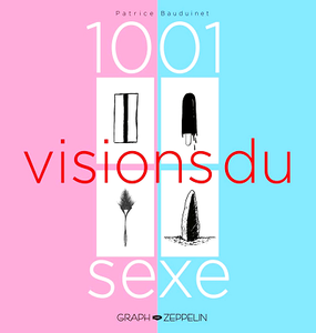 1001 visions du sexe