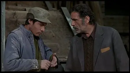 Baran (2001)