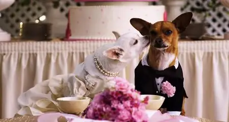 Beverly Hills Chihuahua 2 (2011)