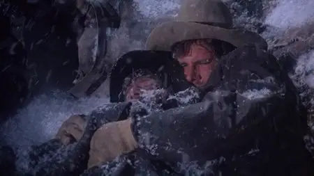 The Frisco Kid (1979)