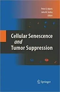 Cellular Senescence and Tumor Suppression