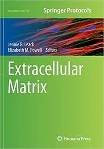 Extracellular Matrix