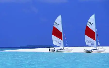 Beach Life Widescreen Wallpapers (2560x1600)