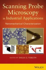 Scanning Probe Microscopy for Industrial Applications: Nanomechanical Characterization